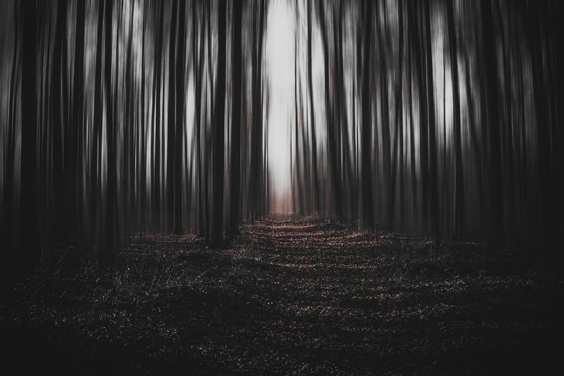 Forest Spirit